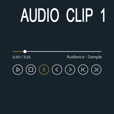Audio Clip 1