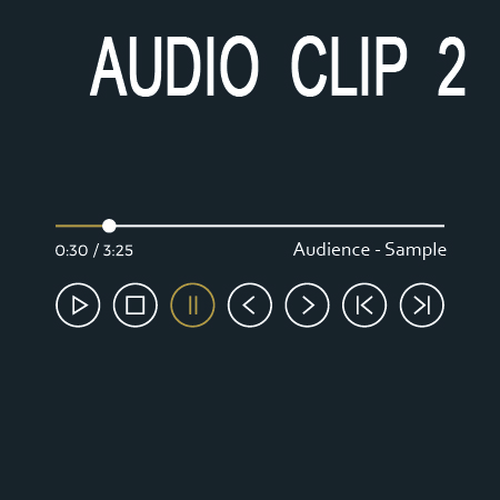 Audio Clip 2