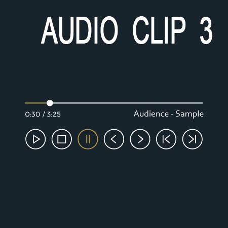 Audio Clip 3