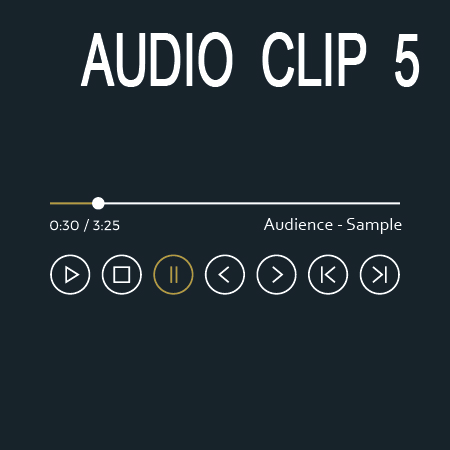 Audio Clip 5