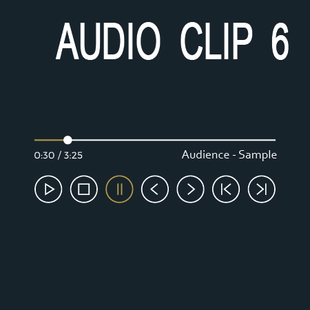 Audio Clip 6