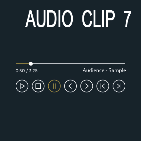 Audio Clip 7